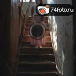 Фотовыставка \"Мир вокруг нас\"